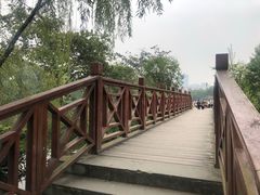 -桂湖森林公园