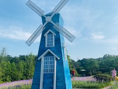 -铁山坪森林公园