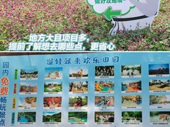 -黄龙溪古镇