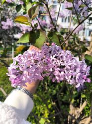 -首都医科大学附属北京儿童医院