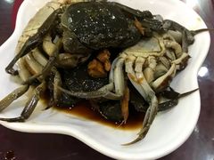 -红灯笼龙凤饭店(宁波老字号店)