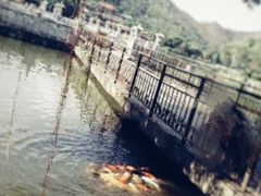 -珠海圆明新园