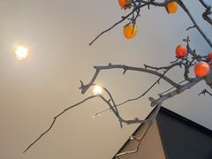 -杏花堂晋商私房菜(华熙五棵松店)