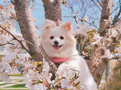 -龙美术馆西岸馆-停车场