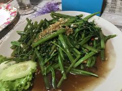 -Jungle Kitchen