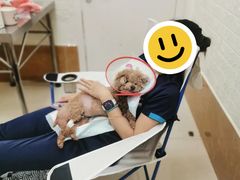 -美联众合动物医院·24h京西诊疗中心
