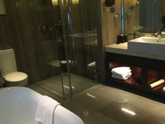 -常州环球恐龙城维景国际大酒店