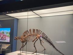 -湖南省地质博物馆