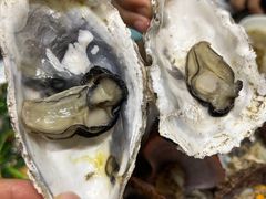 -老家黄墩小错鸡·活海鲜