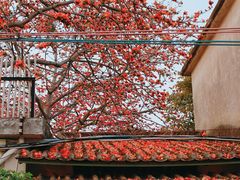 -喜洲吧·江畔老船厂·庭院餐厅(喜临院店)