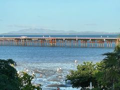 -巨鹏飞梦幻海岸