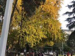 -四川大学(望江校区)