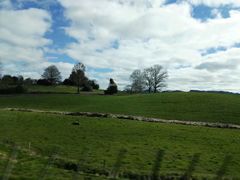 -怀托摩萤火虫洞