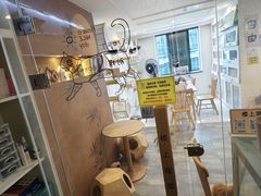 -楼上猫咖(罗湖店)