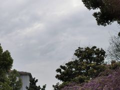 -双拥公园