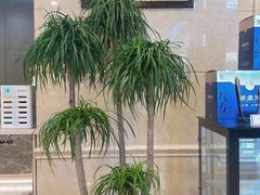 -北京广安门维景国际大酒店