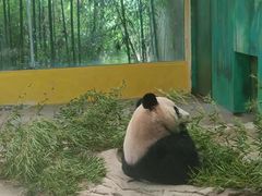 -杭州野生动物世界