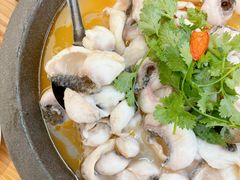 -大鼎石锅鱼(春江里店)