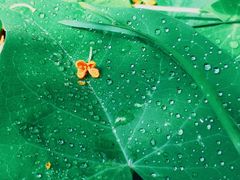 -天津东丽湖风景区