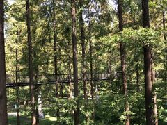 -黄海国家森林公园