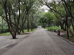 -北陵公园