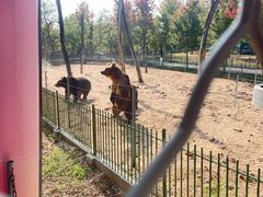 -秦皇岛野生动物园