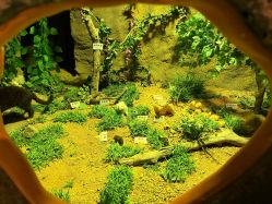 -酷嗒动物文化乐园(cutezoo西溪乐天城店)