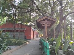 -乌山风景区
