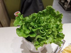 -古乐牛香·鲜牛肉牛杂火锅(新区店)