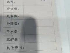 -顺强宠物诊所·狂犬免疫·夜诊·骨科(嘉定店)