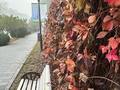 -好利来(牡丹园店)