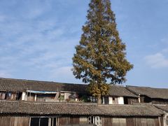 -乌镇东栅景区