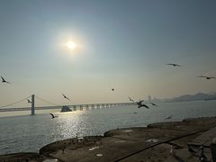 -星海广场