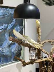 点击看大图 -Zoolung Zoolung动物主题公园(海信广场店)