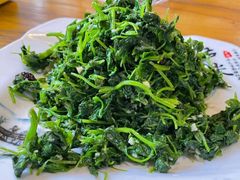 -都江堰石锅鱼