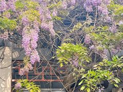 -郑和公园