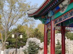 -西海子公园