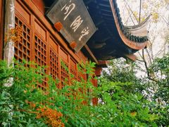 -宝界山林公园