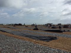 -尼甘布海鲜市场