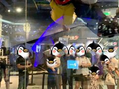 -飞行家太空体验馆(祥云小镇店)