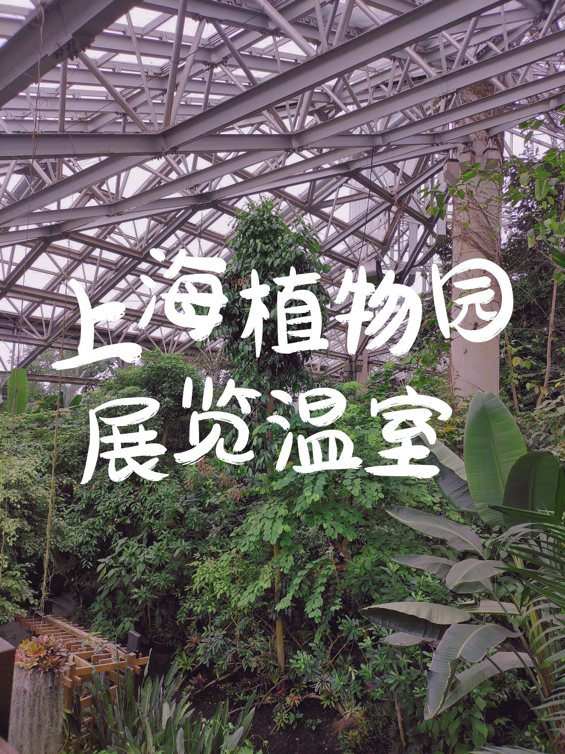 上海植物园温室简介图片