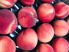 -上海龙吴水胜海发市场