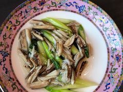 -新光酒家·河豚·海鲜·蟹料理(浦东店)