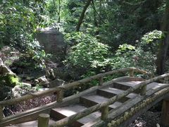 -波尔登森林公园