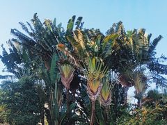 -白沙门生态公园