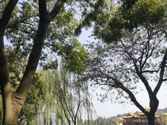 -苏堤停车场