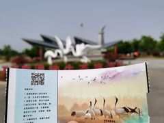 -盐城丹顶鹤湿地生态旅游区