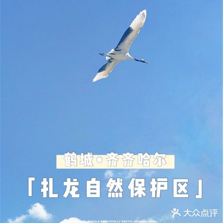 【旅行必打卡景点】鹤城齐齐哈尔，扎龙自然保护区