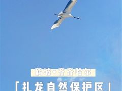 -黑龙江扎龙生态旅游区