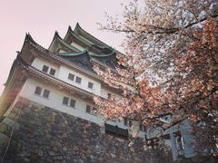 -名古屋城